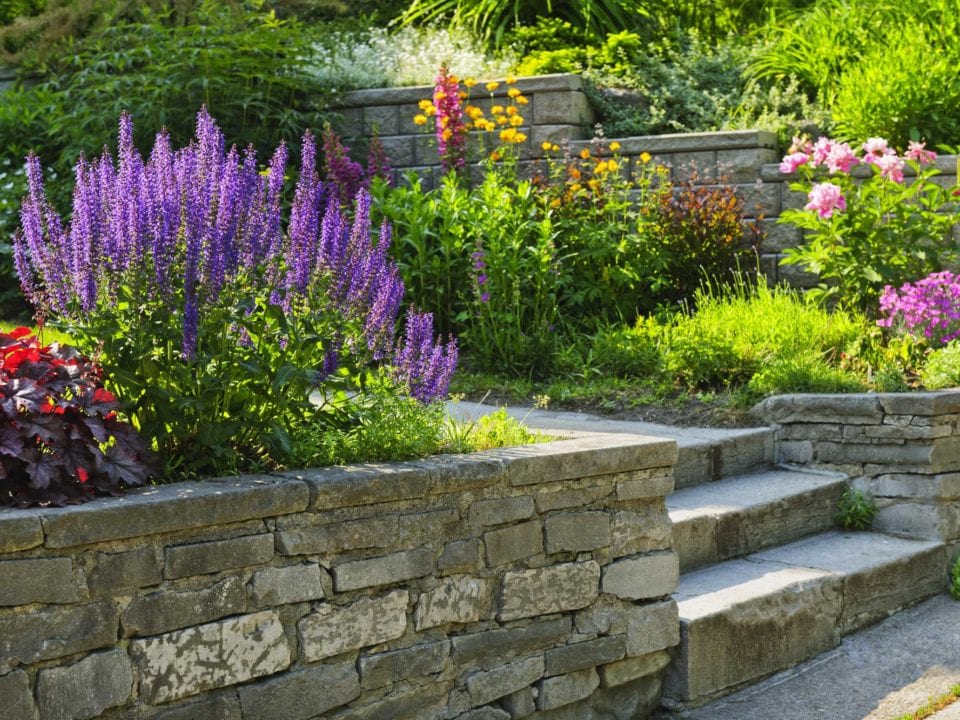 Landscape Maintenance